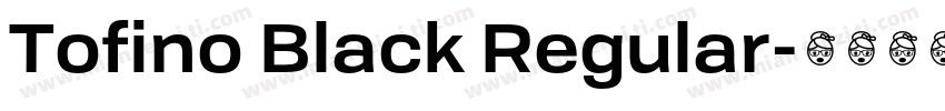 Tofino Black Regular字体转换